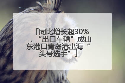 同比增长超30%，“出口车辆”成山东港口青岛港出海“头号选手”