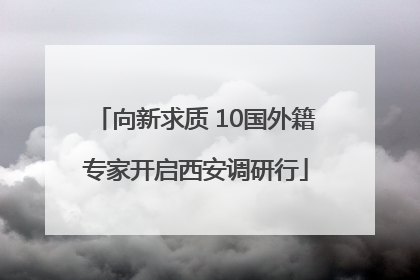 向新求质 10国外籍专家开启西安调研行