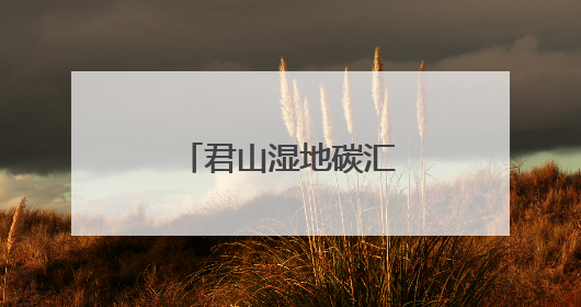 君山湿地碳汇研究中心一期课题圆满结项