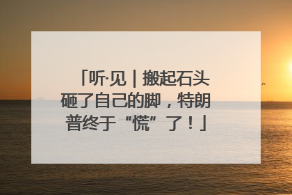 听·见｜搬起石头砸了自己的脚，特朗普终于“慌”了！