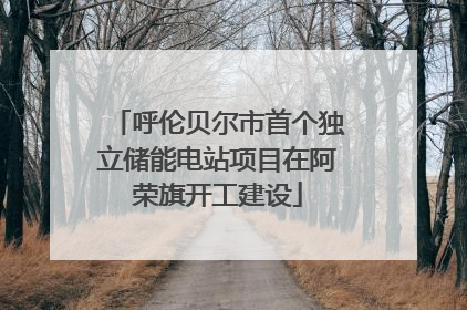 呼伦贝尔市首个独立储能电站项目在阿荣旗开工建设