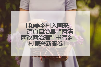 和美乡村入画来——道真自治县“两清两改两治理”书写乡村振兴新答卷