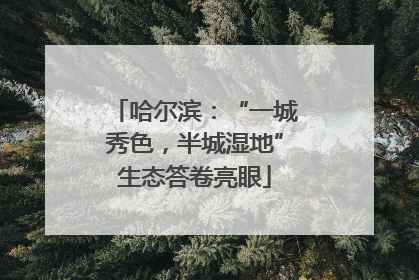 哈尔滨：“一城秀色，半城湿地”生态答卷亮眼
