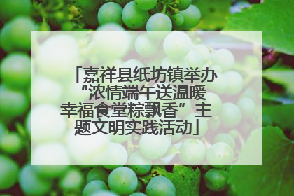 嘉祥县纸坊镇举办“浓情端午送温暖 幸福食堂粽飘香”主题文明实践活动
