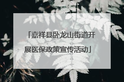 嘉祥县卧龙山街道开展医保政策宣传活动
