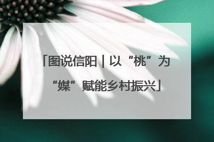 图说信阳｜以“桃”为“媒”赋能乡村振兴