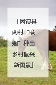 固镇县两村“联姻”种出乡村振兴新图景