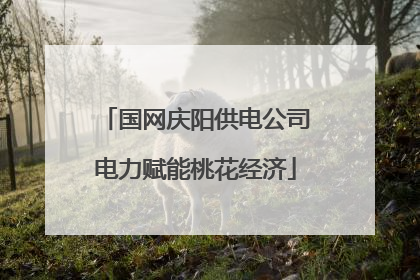 国网庆阳供电公司电力赋能桃花经济