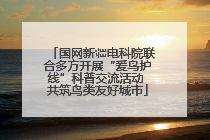 国网新疆电科院联合多方开展“爱鸟护线”科普交流活动 共筑鸟类友好城市
