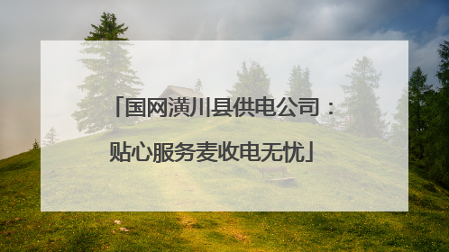 国网潢川县供电公司：贴心服务麦收电无忧