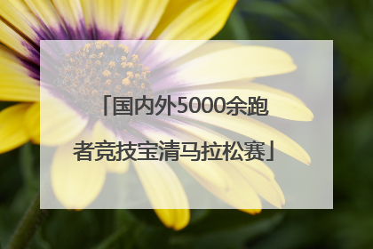 国内外5000余跑者竞技宝清马拉松赛