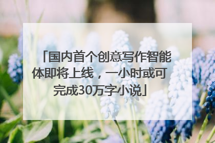 国内首个创意写作智能体即将上线，一小时或可完成30万字小说
