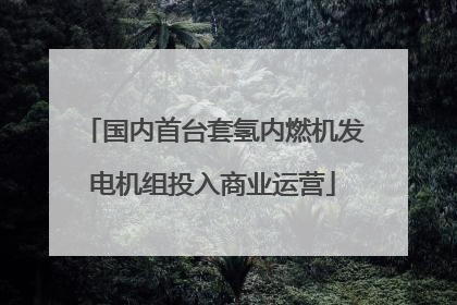国内首台套氢内燃机发电机组投入商业运营
