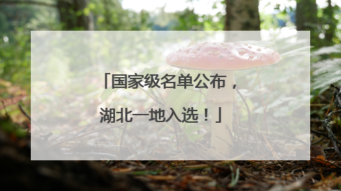 国家级名单公布，湖北一地入选！