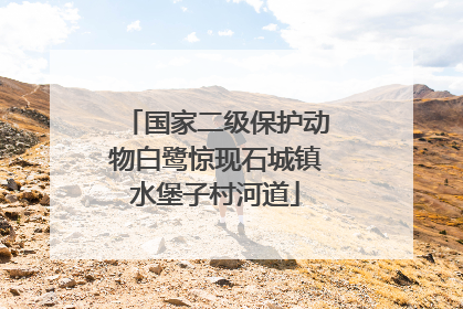 国家二级保护动物白鹭惊现石城镇水堡子村河道