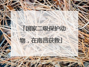 国家二级保护动物，在南昌获救