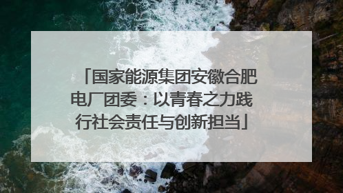 国家能源集团安徽合肥电厂团委：以青春之力践行社会责任与创新担当