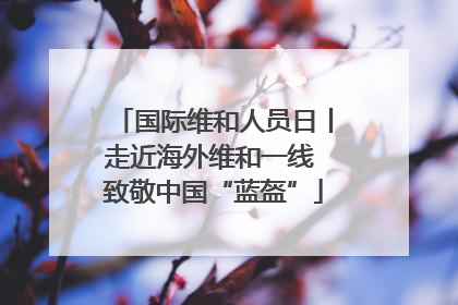 国际维和人员日丨走近海外维和一线 致敬中国“蓝盔”