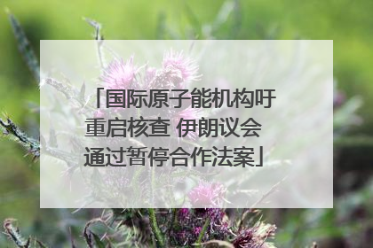 国际原子能机构吁重启核查 伊朗议会通过暂停合作法案