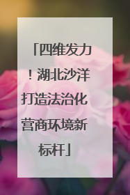 四维发力！湖北沙洋打造法治化营商环境新标杆