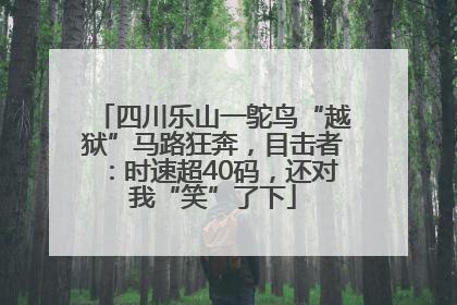 四川乐山一鸵鸟“越狱”马路狂奔，目击者：时速超40码，还对我“笑”了下