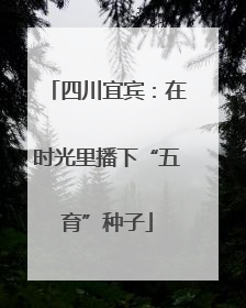 四川宜宾：在时光里播下“五育”种子