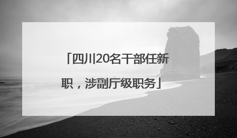 四川20名干部任新职，涉副厅级职务