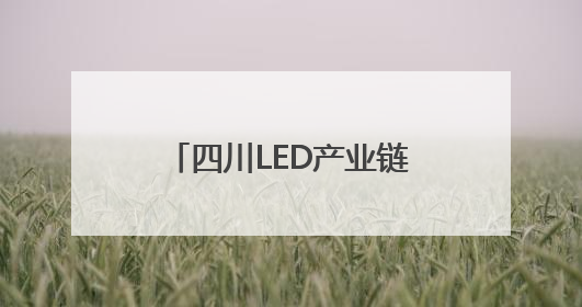 四川LED产业链主要承载地如何“追光逐电”？网络名人走进攀枝花找答案｜网络名人四川行