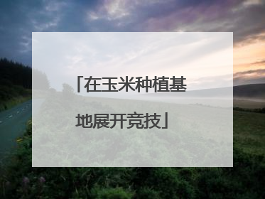 在玉米种植基地展开竞技