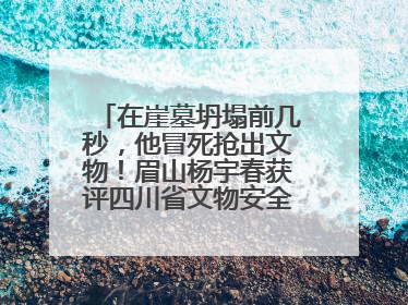 在崖墓坍塌前几秒，他冒死抢出文物！眉山杨宇春获评四川省文物安全守护者