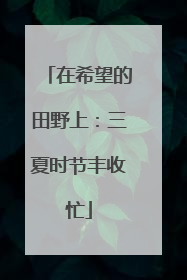 在希望的田野上：三夏时节丰收忙