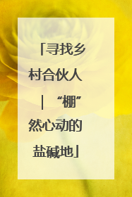 寻找乡村合伙人｜“棚”然心动的盐碱地