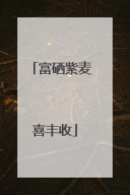 富硒紫麦喜丰收