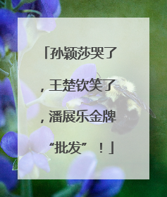孙颖莎哭了，王楚钦笑了，潘展乐金牌“批发”！