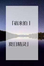 宿来拍丨夏日精灵
