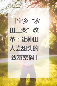 宁乡“农田三变”改革：让种田人尝甜头的致富密码