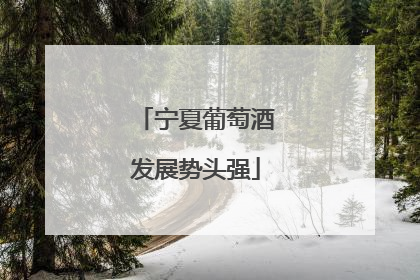 宁夏葡萄酒发展势头强