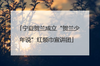 宁夏贺兰成立“贺兰少年说”红领巾宣讲团