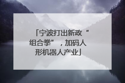 宁波打出新政“组合拳”，加码人形机器人产业