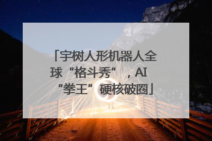 宇树人形机器人全球“格斗秀”，AI“拳王”硬核破圈
