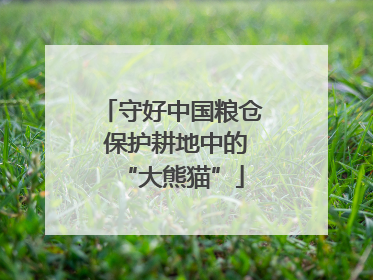 守好中国粮仓 保护耕地中的“大熊猫”