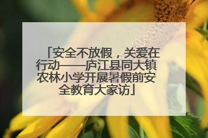 安全不放假，关爱在行动——庐江县同大镇农林小学开展暑假前安全教育大家访