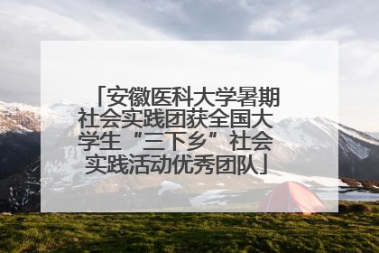 安徽医科大学暑期社会实践团获全国大学生“三下乡”社会实践活动优秀团队