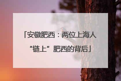 安徽肥西：两位上海人“链上”肥西的背后