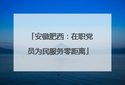 安徽肥西：在职党员为民服务零距离