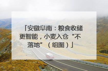 安徽阜南：粮食收储更智能，小麦入仓“不落地”（组图）