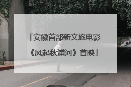 安徽首部新文旅电影《风起秋浦河》首映