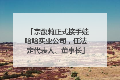 宗馥莉正式接手娃哈哈实业公司，任法定代表人、董事长