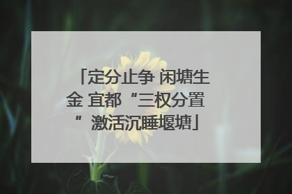 定分止争 闲塘生金 宜都“三权分置”激活沉睡堰塘