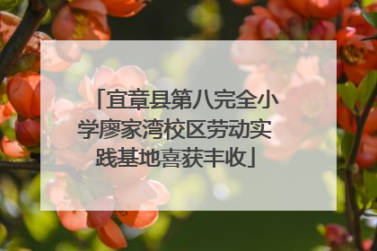 宜章县第八完全小学廖家湾校区劳动实践基地喜获丰收
